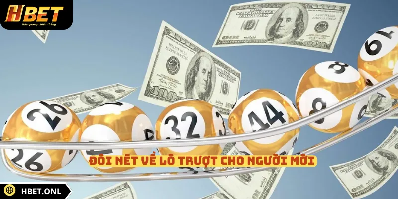 Đôi nét về lô trượt cho người mới