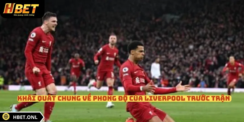 Khái quát chung về phong độ của Liverpool trước trận 