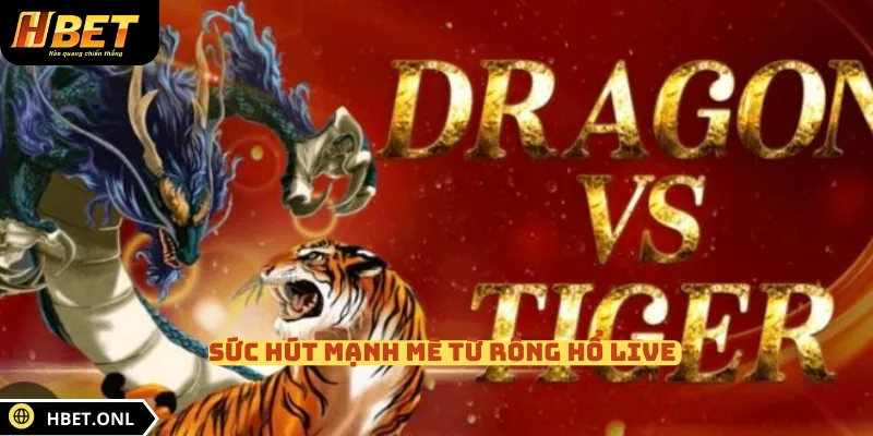 Sức hút mạnh mẽ từ Rồng Hổ Live 