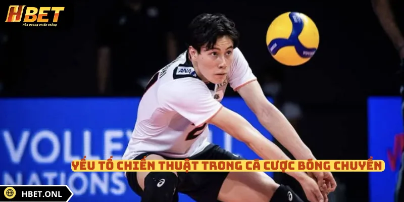 Yếu tố chiến thuật trong cá cược bóng chuyền